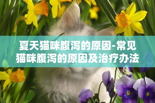 夏天貓咪腹瀉的原因-常見貓咪腹瀉的原因及治療辦法