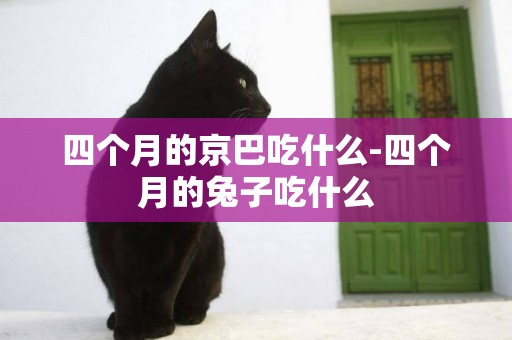 四個月的京巴吃什么-四個月的兔子吃什么