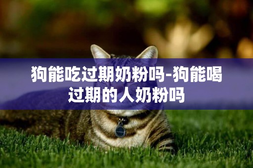 狗能吃過期奶粉嗎-狗能喝過期的人奶粉嗎