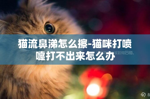 貓流鼻涕怎么擦-貓咪打噴嚏打不出來怎么辦