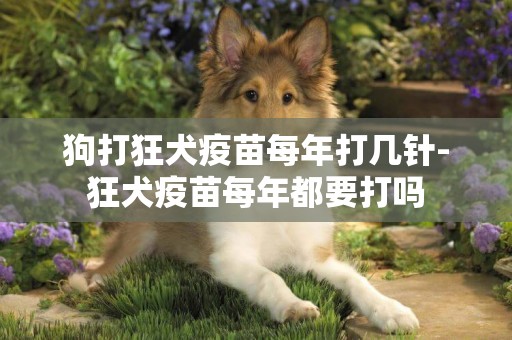 狗打狂犬疫苗每年打幾針-狂犬疫苗每年都要打嗎