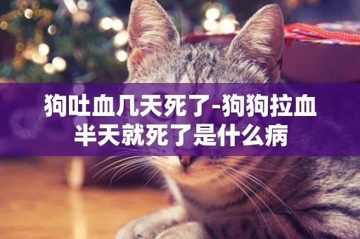 狗吐血幾天死了-狗狗拉血半天就死了是什么病