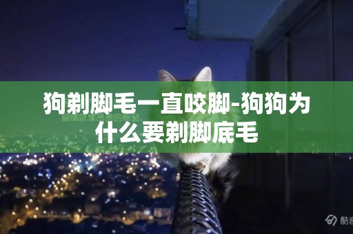 狗剃腳毛一直咬腳-狗狗為什么要剃腳底毛