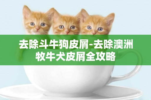去除斗牛狗皮屑-去除澳洲牧牛犬皮屑全攻略