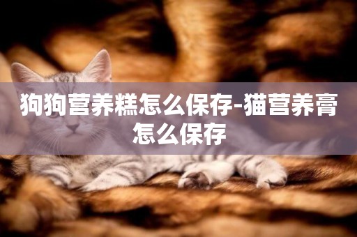 狗狗營養糕怎么保存-貓營養膏怎么保存