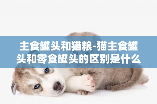 主食罐頭和貓糧-貓主食罐頭和零食罐頭的區別是什么