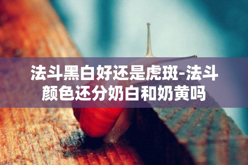 法斗黑白好還是虎斑-法斗顏色還分奶白和奶黃嗎