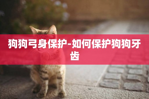 狗狗弓身保護-如何保護狗狗牙齒