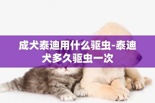成犬泰迪用什么驅蟲-泰迪犬多久驅蟲一次
