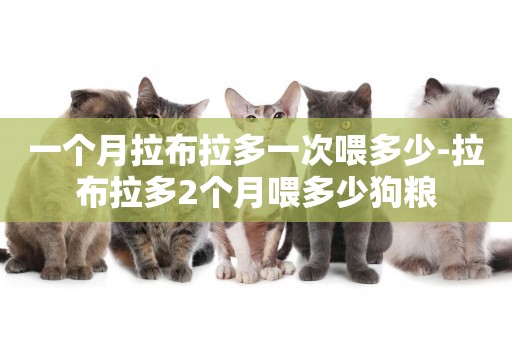 一個月拉布拉多一次喂多少-拉布拉多2個月喂多少狗糧
