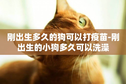 剛出生多久的狗可以打疫苗-剛出生的小狗多久可以洗澡