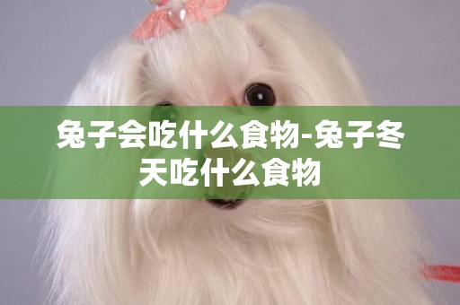 兔子會吃什么食物-兔子冬天吃什么食物