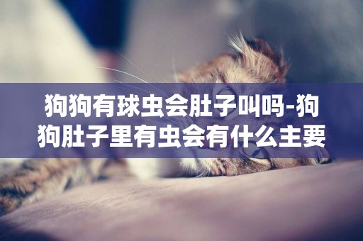 狗狗有球蟲會肚子叫嗎-狗狗肚子里有蟲會有什么主要表現