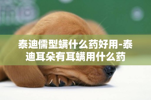 泰迪儒型螨什么藥好用-泰迪耳朵有耳螨用什么藥