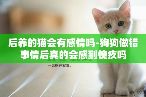 后養的貓會有感情嗎-狗狗做錯事情后真的會感到愧疚嗎