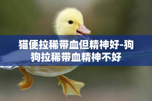 貓便拉稀帶血但精神好-狗狗拉稀帶血精神不好