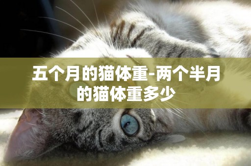 五個月的貓體重-兩個半月的貓體重多少