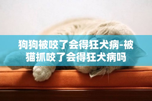 狗狗被咬了會得狂犬病-被貓抓咬了會得狂犬病嗎