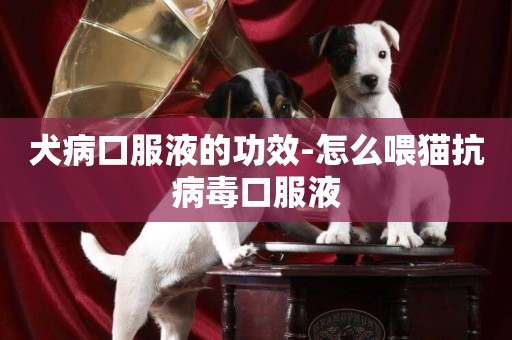 犬病口服液的功效-怎么喂貓抗病毒口服液