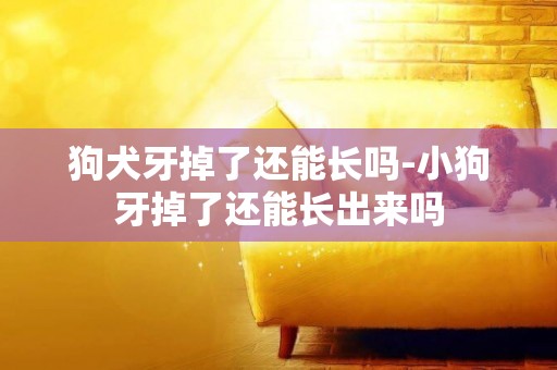 狗犬牙掉了還能長嗎-小狗牙掉了還能長出來嗎