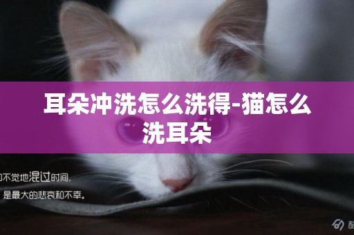 耳朵沖洗怎么洗得-貓怎么洗耳朵