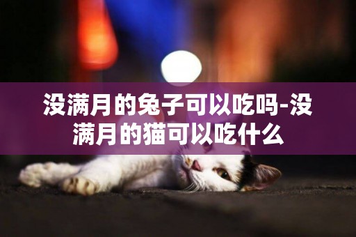 沒滿月的兔子可以吃嗎-沒滿月的貓可以吃什么