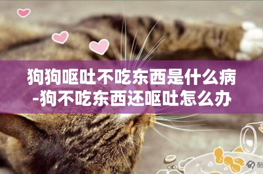 狗狗嘔吐不吃東西是什么病-狗不吃東西還嘔吐怎么辦