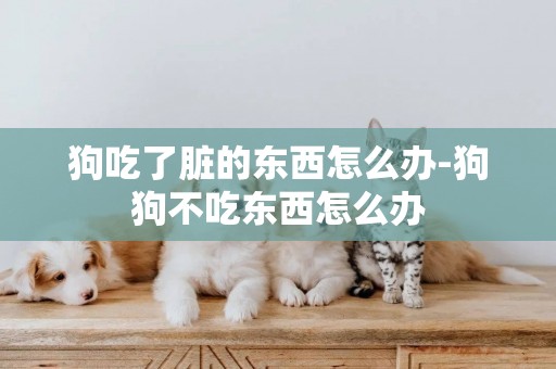 狗吃了臟的東西怎么辦-狗狗不吃東西怎么辦