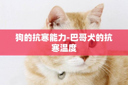 狗的抗寒能力-巴哥犬的抗寒溫度