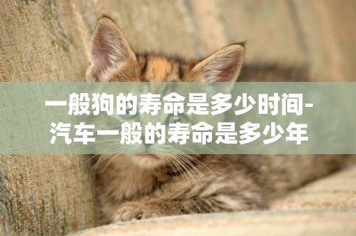 一般狗的壽命是多少時間-汽車一般的壽命是多少年