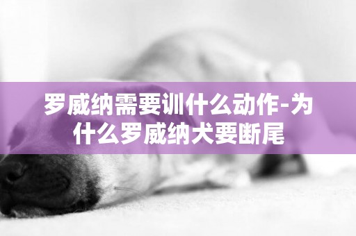 羅威納需要訓什么動作-為什么羅威納犬要斷尾