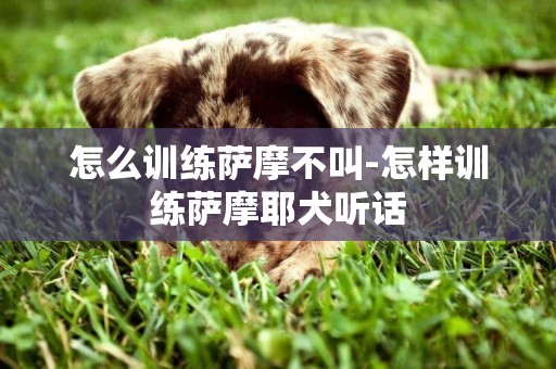怎么訓練薩摩不叫-怎樣訓練薩摩耶犬聽話