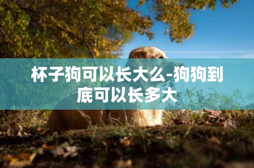 杯子狗可以長大么-狗狗到底可以長多大