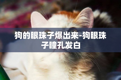 狗的眼珠子爆出來-狗眼珠子瞳孔發白