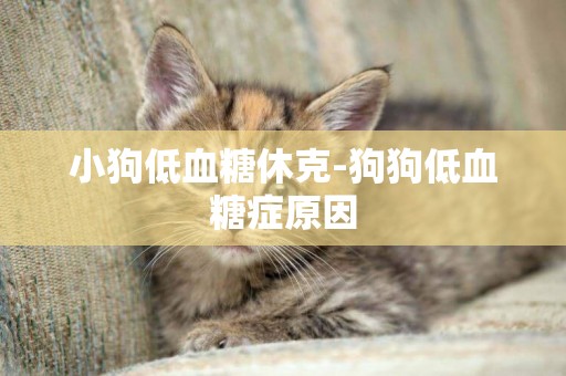 小狗低血糖休克-狗狗低血糖癥原因