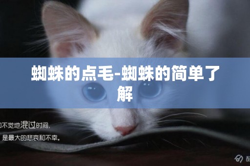 蜘蛛的點毛-蜘蛛的簡單了解