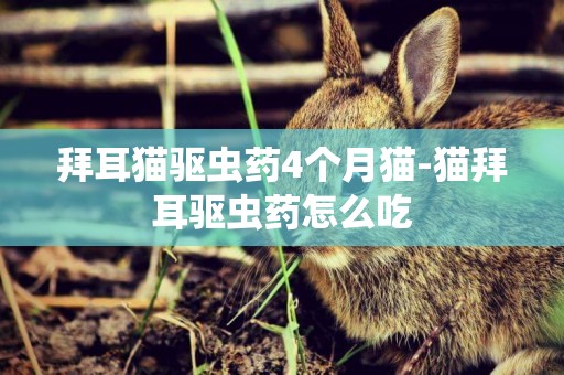 拜耳貓驅蟲藥4個月貓-貓拜耳驅蟲藥怎么吃