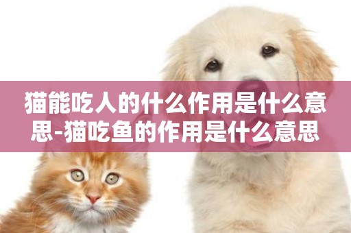 貓能吃人的什么作用是什么意思-貓吃魚的作用是什么意思