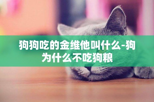 狗狗吃的金維他叫什么-狗為什么不吃狗糧