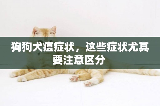 狗狗犬瘟癥狀，這些癥狀尤其要注意區分 