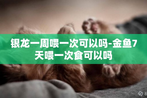 銀龍一周喂一次可以嗎-金魚7天喂一次食可以嗎