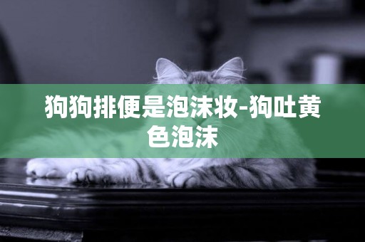 狗狗排便是泡沫妝-狗吐黃色泡沫