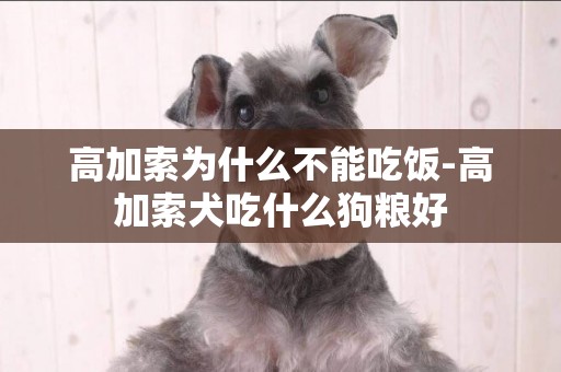 高加索為什么不能吃飯-高加索犬吃什么狗糧好