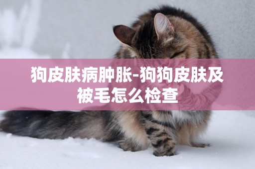 狗皮膚病腫脹-狗狗皮膚及被毛怎么檢查