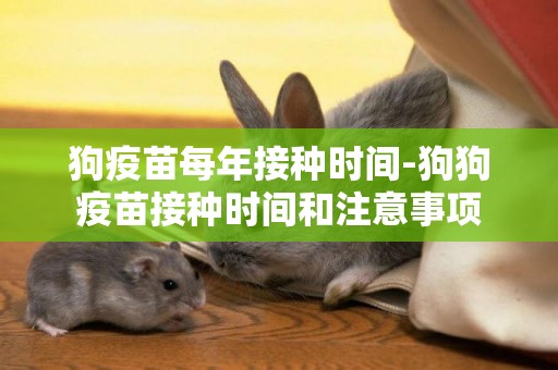狗疫苗每年接種時間-狗狗疫苗接種時間和注意事項