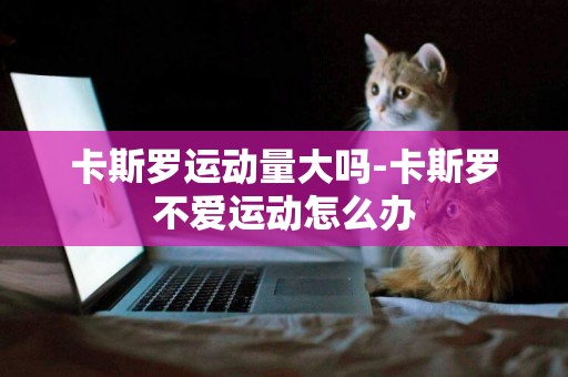 卡斯羅運動量大嗎-卡斯羅不愛運動怎么辦