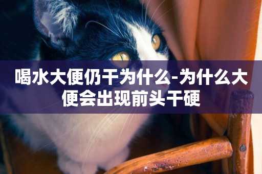 喝水大便仍干為什么-為什么大便會出現前頭干硬