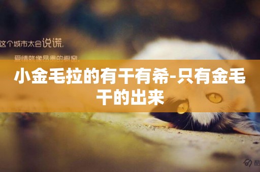 小金毛拉的有干有希-只有金毛干的出來