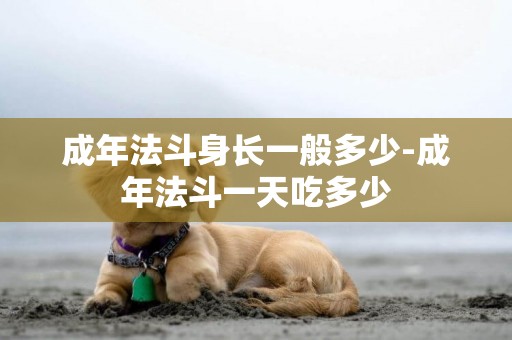 成年法斗身長一般多少-成年法斗一天吃多少
