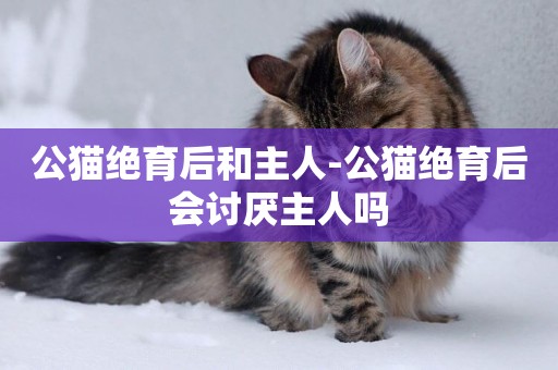公貓絕育后和主人-公貓絕育后會討厭主人嗎